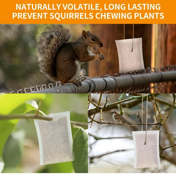 10Packs Squirrel Repellent Outdoor,Chipmunk Repellent Outdoor, Natural Squirrel Repellent for Attic and Car, Mint Squirrel Deterrent for Plants and Garden