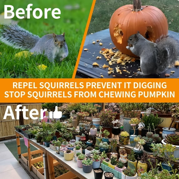 10Packs Squirrel Repellent Outdoor,Chipmunk Repellent Outdoor, Natural Squirrel Repellent for Attic and Car, Mint Squirrel Deterrent for Plants and Garden